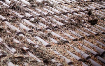 Diddywell roof cleaning companies