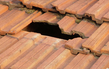roof repair Diddywell, Devon