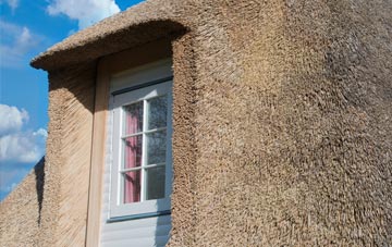 Diddywell thatch roof disadvantages